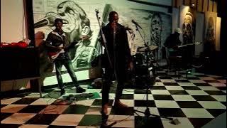 Stella By Mate Festo live performance 
