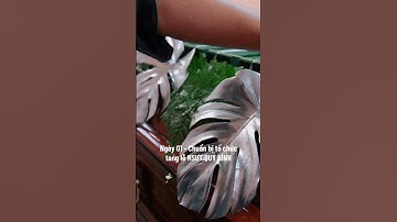 Dịch Vụ Tang Lễ Blackstones cùng hành trình chuẩn bị tang lễ diễn viên Quý Bình