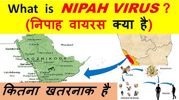What is Nipah Virus? What makes the virus so dangerous? Keral Nipah virus निपाह वायरस क्या है ?