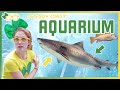 Brecky Breck Visits An Aquarium | Fish and Animals for Kids and Toddlers