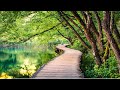 Relaxing Music 24/7, Meditation Music, Sleep Music, Healing Therapy, Meditation, Study Music