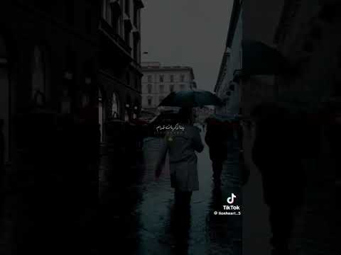 عارف انت اية في حياتنا نمرة كام تامر عاشور