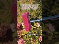 A custom engraved putter is the perfect gift for yourself or a loved one.#timbertouch #gift #putter