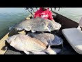 The MOST INSANE CATFISHING of my LIFE!! (200 lbs)