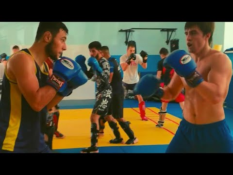 Чемпион мира по кикбоксингу 2021