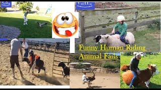 Funny Human Riding Animal Fails | Animals Funny Attitude | TRY NOT TO LAUGH