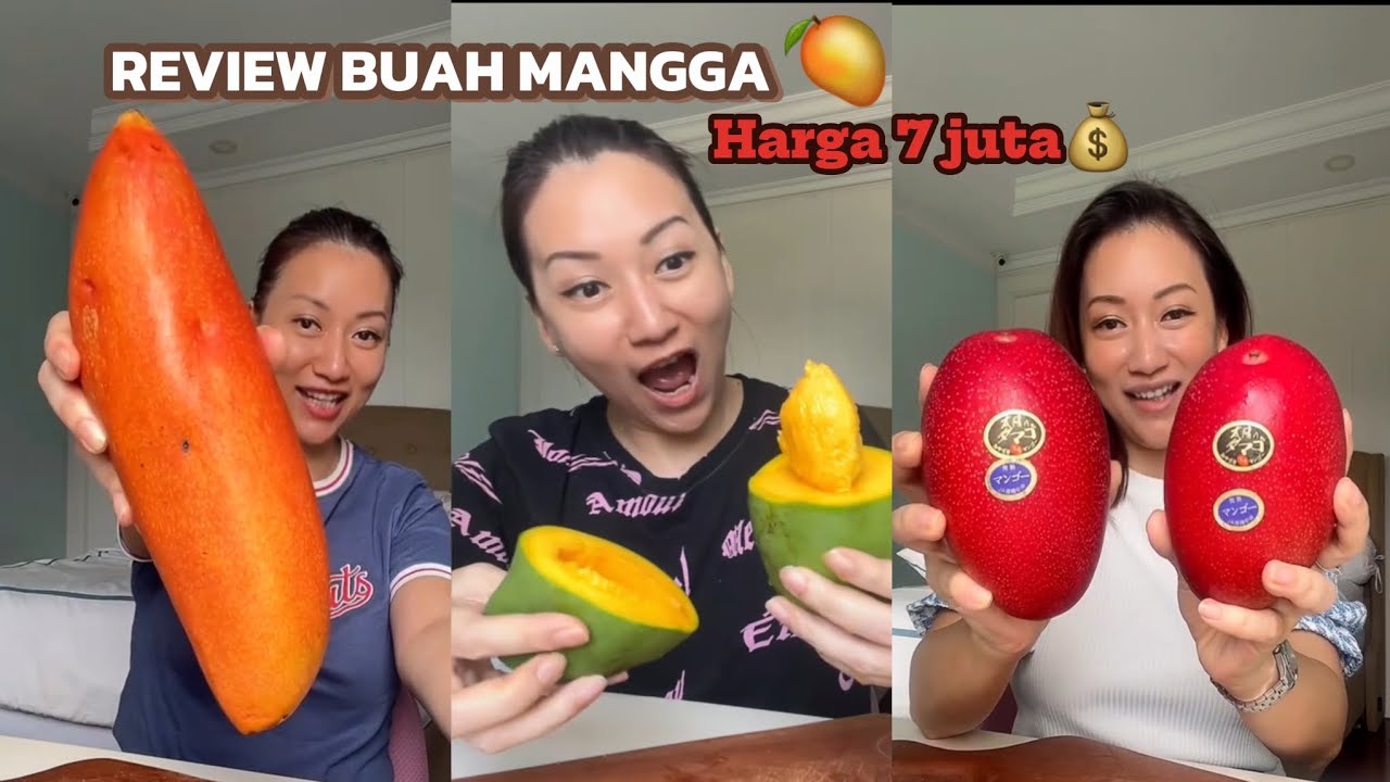 COBAIN BUAH MANGGA HARGA JUTA AN 🥭🫒