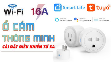 Review Ổ Cắm Điện Wifi Thông Minh Điều Khiển Từ Xa BSD58 16A