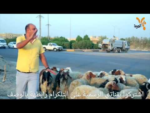 تحشيش العيد واقع حال لمن تشتري خروف تحشيش محمد قاسم 