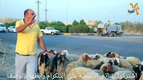 تحشيش العيد واقع حال لمن تشتري خروف/تحشيش محمد قاسم
