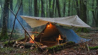 Solo Bushcraft Camping | Tarp Setup, Rain, Grilled Turkey & Campfire Cake