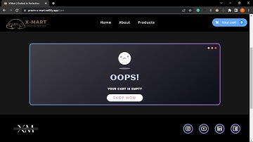 100+ hours of work in 11 mins | Timelapse Video | E commerce website