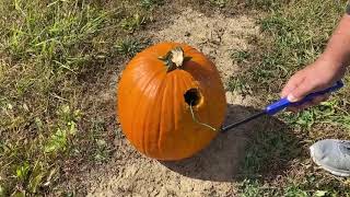 Smiley's DIY Pumpkin Drop  2020