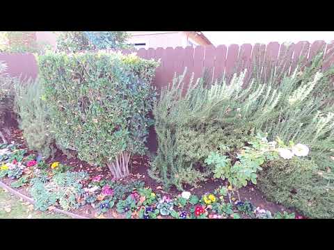 547 Eaton Dr, Pasadena, CA home video tour