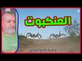 معجزة العنكبوت التي أبهرت العلماء وذكرت في القرآن سعيد بدوي