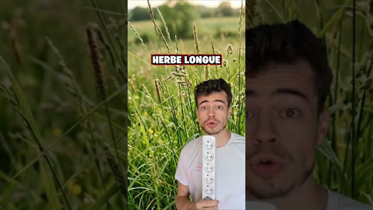 Tu es encore la ? 😭🥀