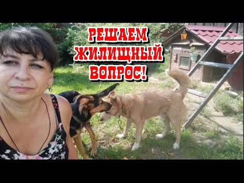 Хутор мамы ларисы на дзене последнее видео. Хутор мамы Ларисы. Канал Хутор мамы Ларисы. Хутор мамы Ларисы ютуб. Деревенская жизнь ютуб.