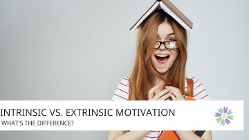 Intrinsic vs. Extrinsic Motivation: How They Impact Learning