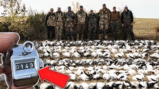 Snow Goose Hunting (143 Birds in 2 HOURS!)