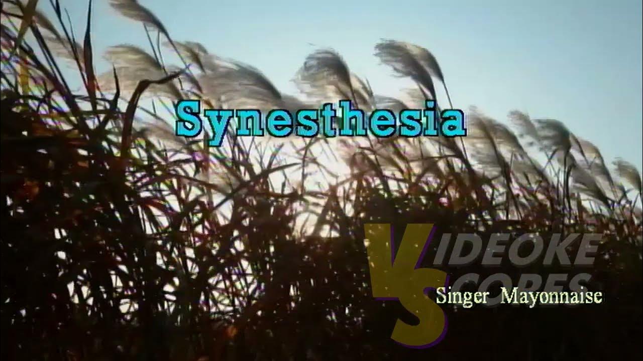 Mayonnaise Synesthesia (Karaoke/Lyrics/Instrumental) YouTube