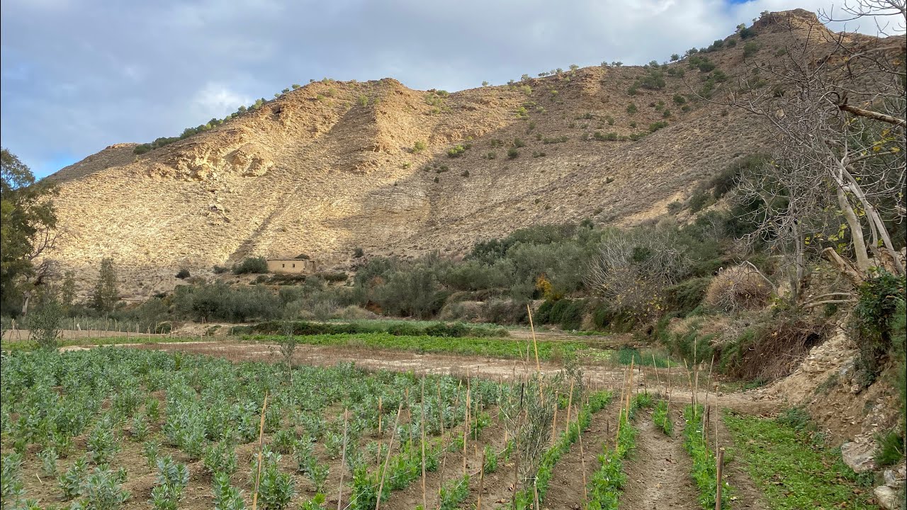 الحياة البادية في قرية بوعلمة، زيارة القرية التي أنتمي لها أيت توزين، إقليم دريوش.