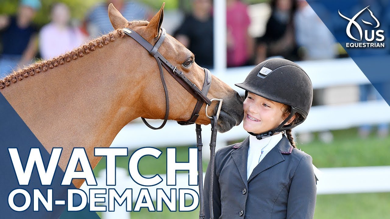 equestrian jumping video on demand