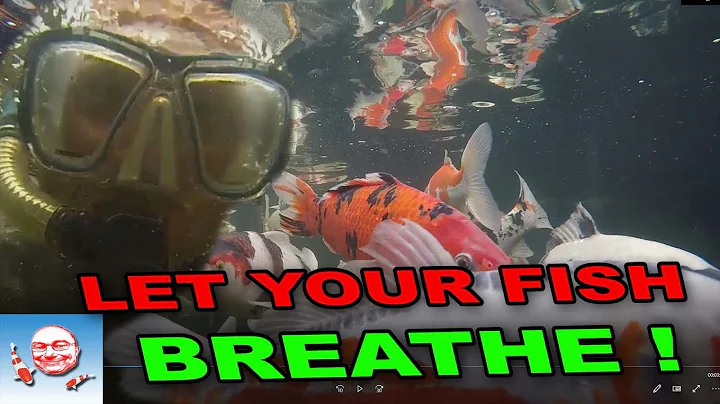 Let your fish breathe!
