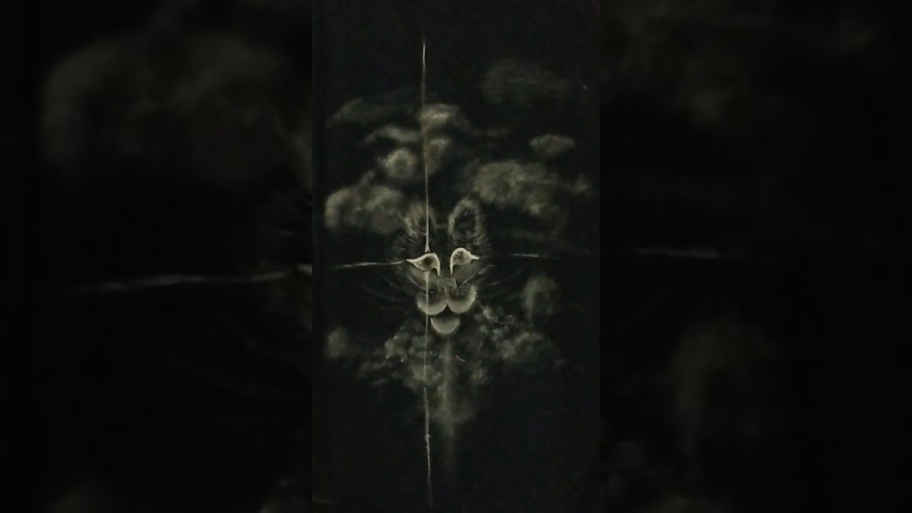 Spirit Kitty! T-shirt by Anna Halo 😻