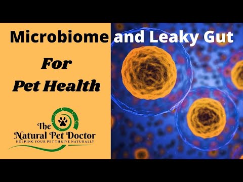 The Natural Pet Doctor - The Importance of the Microbiome and Leaky Gut in Your Pets‘ Health