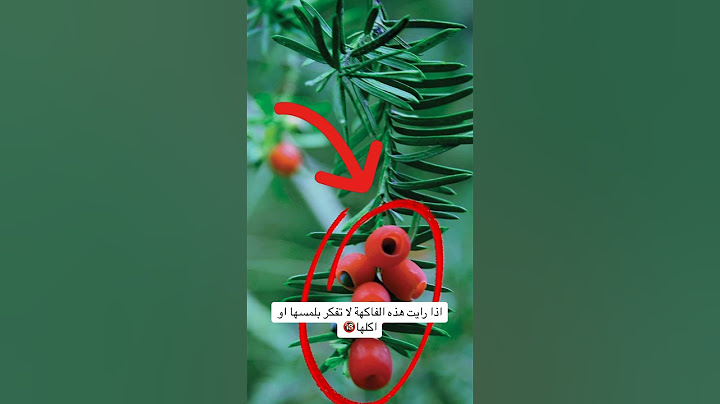 اذا رايت هذه الفاكهة لا تفكر بلمسها او اكلها !؟ #خطر #اكسبلور #معلومات #رونالدو #معلومات_عامة #ترند