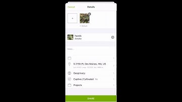 iPhone iNaturalist tutorial