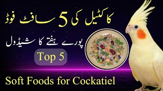 Cockatiel Soft Food | soft food for cockatiel | 5 best soft foods for Cocktail birds screenshot 5