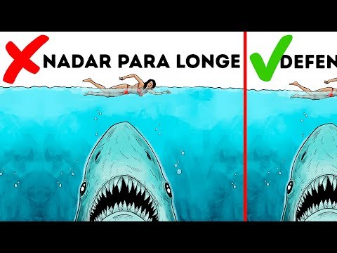 Vídeo: Como Se Mover Com Animais