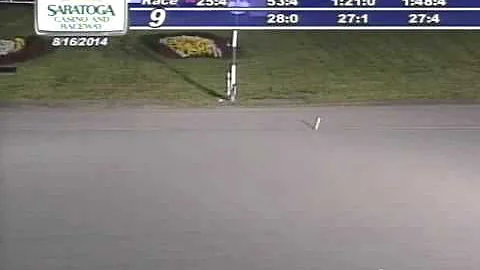 Dancin Yankee(1:48:4) World Record-(1/2 Mile Track...