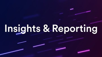 Feature Spotlight: Insights and Reporting