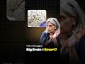 Why Brain Size Doesn't Guarantee Intelligence - Vidita Vaidya | Raj Shamani #shorts