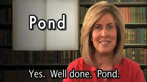 English Video Subtitles Word Power P Part 4, English Lessons for Beginnerslarge