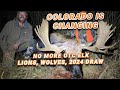 Everything colorado hunting lion hunting ban the end of otc elk tags where to apply