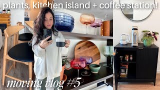 coffee setup, plant haul, new furniture, painting a wall?! 🏡 MOVING VLOG ep 5