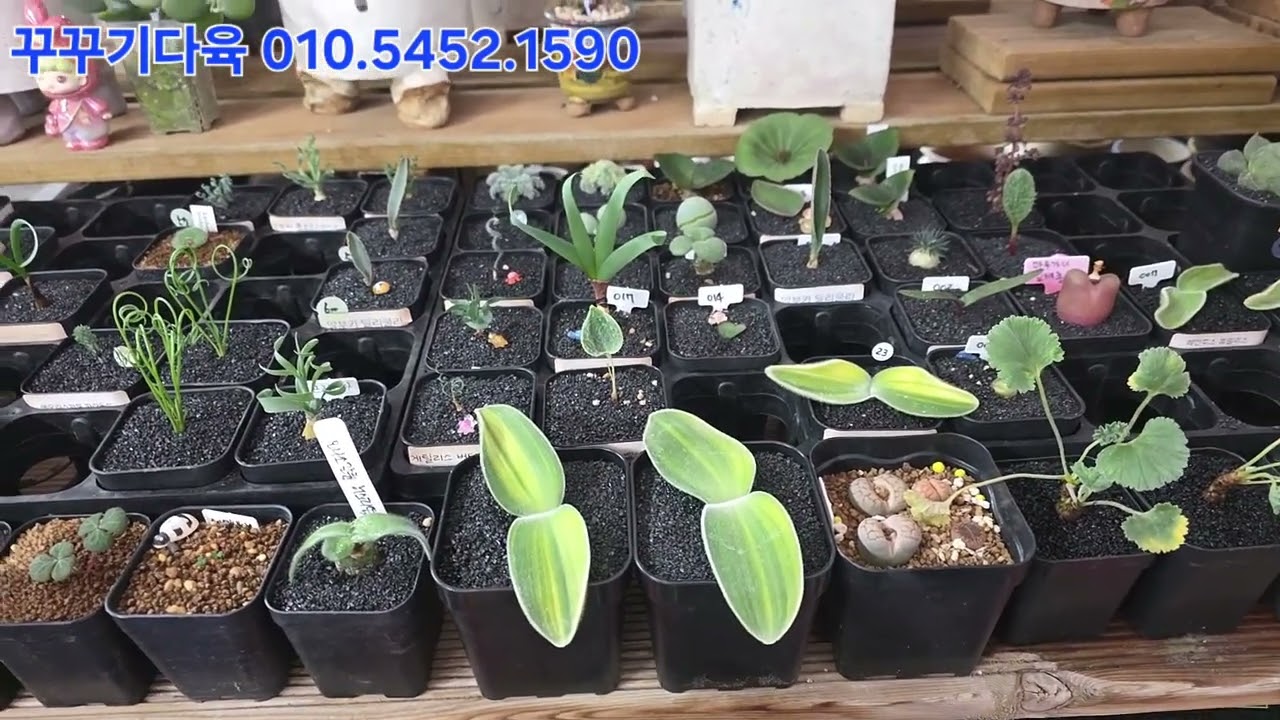 감사합니다 😍 😍 😍 