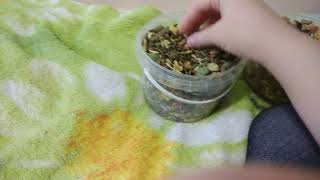 Лакомства для грызунов