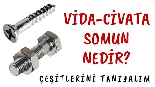 VİDACİVATASOMUN NEDİR? ÇEŞİTLERİ VE UYGULAMALARI