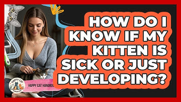 How Do I Know If My Kitten Is Sick Or Just Developing? - Happy Cat Handbook