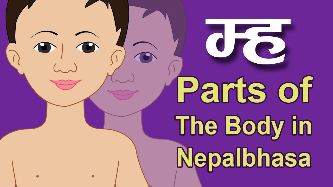 म्ह | Parts Of The Body in Nepal Bhasha | Human Body Parts Names - YouTube