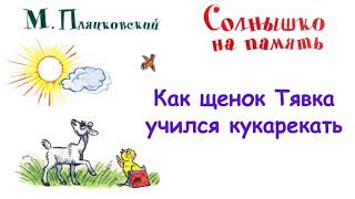 М.Пляцковский - Сказка "Как щенок Тявка учился кукарекать" -  Книга "Солнышко на память" - Слушать