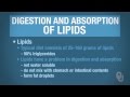 Human Physiology - Digestion and Absorption of Lipids