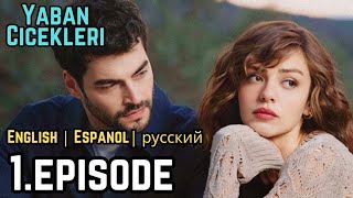 Yaban Ciceklari Episode 1 || English Subtitles|| En Espanol | Русский #Akınakınözü