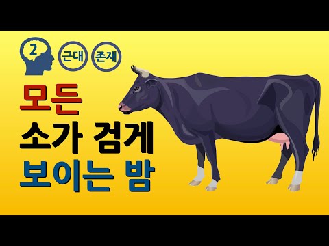 셸링 : 객관적 관념론 (feat. 헤겔, 피히테, 휠덜린)