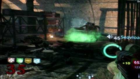 Nazi Zombie Shi No Numa 12 Guns in hand Glitch!