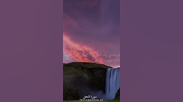 سورة النحل بصوت جميل 🌹